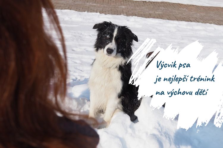 Výcvik psa pozitivní motivací je nejlepší trénink na výchovu dětí